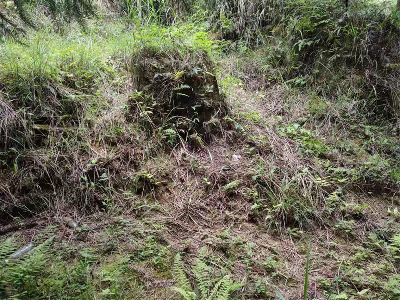 辽田尖山原始青瓷窑址